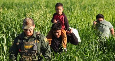 Blaze News investigates: Illegal immigration impacts farmers and ranchers along the border â crop contamination, property damage