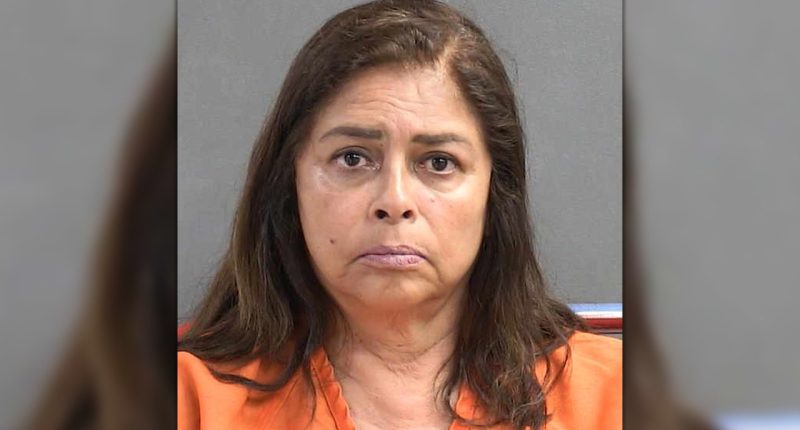 Florida grandmother arrested after leaving toddler in hot car at Publix