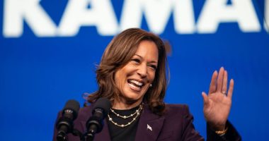 Kamala Harris supported group that bailed violent rioters out of jail in 2020, but media now obscuring that fact