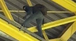 Unveiling the Motive Behind the Arrest of the Man Climbing onto the Roof of Dortmund's Stadium During Euro 2024 Match