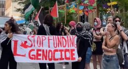 Video shows police, pro-Palestine protesters clash in Montreal | Israel-Palestine conflict