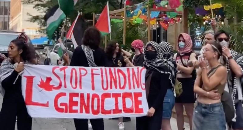 Video shows police, pro-Palestine protesters clash in Montreal | Israel-Palestine conflict