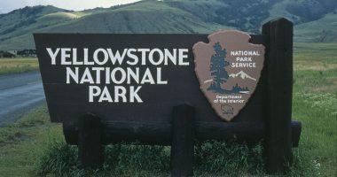 Yellowstone National Park ranger injured in shooting