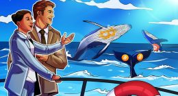 Bitcoin whale txs hit highest levels in 4 months amid crypto dip