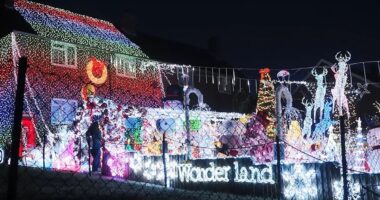 All is bright! Family switch on giant Christmas display including 80,000 lights and 3,000 ornaments