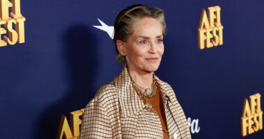 Are Celebrities Like Sharon Stone Out of Touch with American Reality?