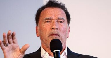 Arnold Schwarzenegger's LA home 'swatted' on Thanksgiving Day after prankster makes bomb threat to police