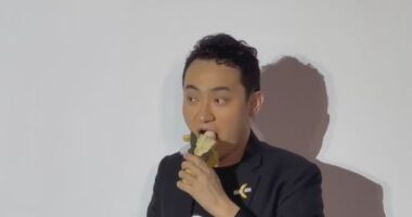 A cryptocurrency entrepreneur who bought a piece of conceptual art consisting of a simple banana, duct-taped to a wall, for $US6.2 million ($9.5 million) last week ate the fruit in Hong Kong on Friday.