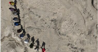 Footprints in Kenya reveal two ancient human species crossed paths