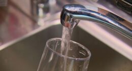 High levels of forever chemicals thought to cause cancer have been found in some catchments of Brisbane's drinking water over the last two years. South East Queensland Water (SEQ Water) has insisted the water is safe to drink and meets Australian guidelines, which are different to international standards.