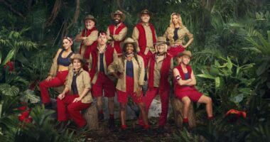 Inside I'm A Celebrity: The Touching Ways Stars Communicate with Families