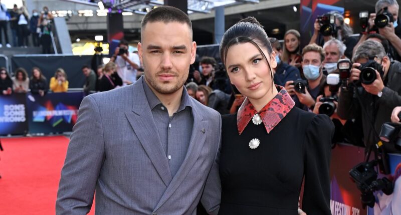 Maya Henry bravely returns to social media one week after ex-fiancé Liam Payne's funeral - after being targeted by vile trolls following the One Direction star's death