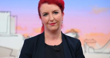 Transport Secretary Louise Haigh QUITS after admitting to being a convicted fraudster over stolen phone claim