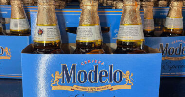 Trump's proposed tariffs on Mexico could push up the price of Modelo, Corona beer and tequila