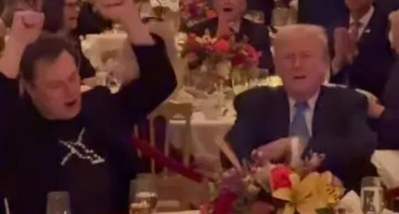 Watch Trump & ‘co-president’ Elon Musk dance to YMCA at raucous Mar-a-Lago Thanksgiving bash – while Barron watches on