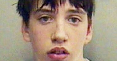 'Coronation Street killer' who murdered his mother with a hammer when he was 14 after being inspired by a soap storyline is moved to an open prison