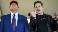 'Fatally wrong': Musk causes uproar for backing Germany's far-right party