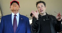 'Fatally wrong': Musk causes uproar for backing Germany's far-right party