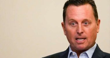 Trump appoints longtime foreign policy adviser Richard Grenell to serve as special missions envoy