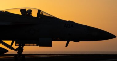 2 US Navy pilots shot down over Red Sea in apparent 'friendly fire' incident, US military says