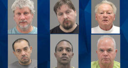 6 Arrested in Illinois Child Sex Solicitation Sting Operation