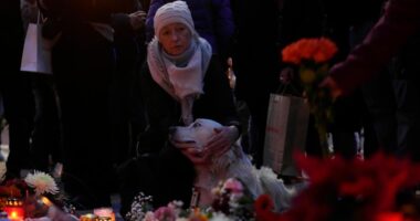 A 9-year-old is among 5 killed in the Christmas market attack in Germany