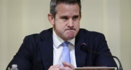 Adam Kinzinger Stomps His Little Foot and Insists He’s Not Afraid of Trump’s Jail Threat