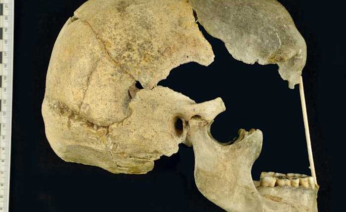 Ancient genes pinpoint when humans and Neanderthals mixed and mingled