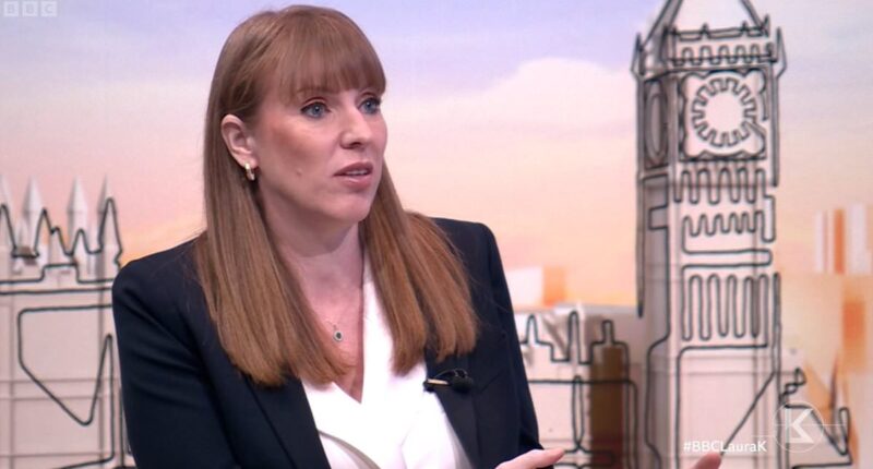 Angela Rayner vs the Nimbys: Deputy PM warns families 'priced out of getting a home' and vows to 'streamline' planning rules to build 1.5m houses - and sideline locals who object