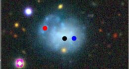 Astronomers discover five rare galaxies 'interacting with each other'