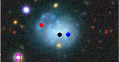 Astronomers discover five rare galaxies 'interacting with each other'