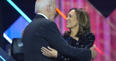 Baby, It's Cold Inside—Biden-Kamala Relationship Said to Be 'Frosty' After Dem Electoral Wipeout