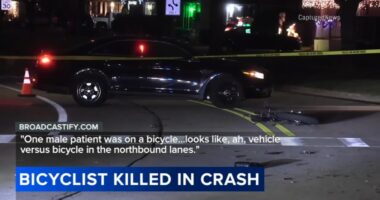 Bicyclist killed in Rolling Meadows crash at Rohlwing Road, Campbell Street ID'd as Patrick J. Houlihan, police say