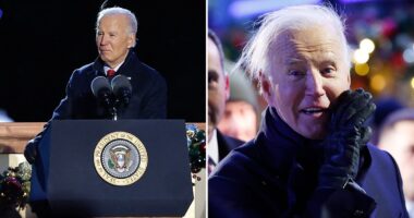 Biden lights 30-foot White House Christmas tree... and everyone is saying the same thing