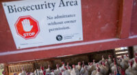 Bird flu fears grow as ‘positive test’ forces food recall in 12 states after pet dies & humans monitored for symptoms