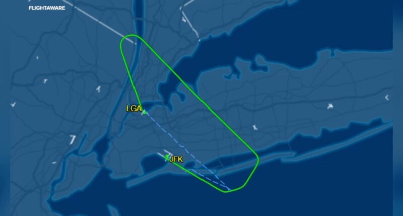 Bird strike forces American Airlines plane from LaGuardia Airport to make emergency landing at JFK Airport in New York City