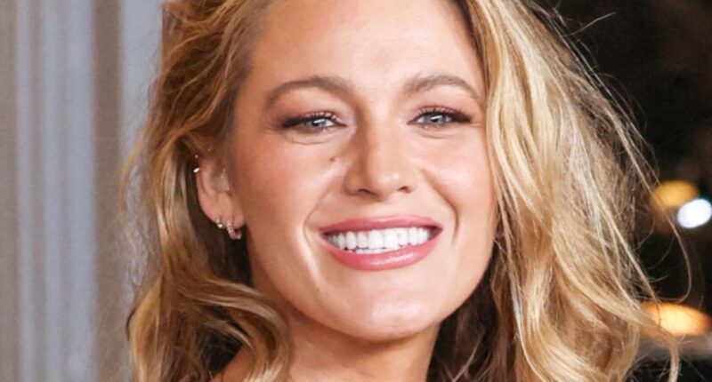 Blake Lively's Co-Star Michele Morrone Claims She Was 'In Pain' After Filming 'It Ends With Us'