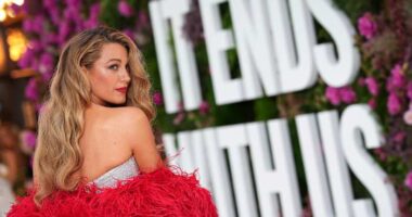 Blake Lively's claims that movie co-star launched smear campaign gets support in publicist's suit