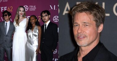 Brad Pitt Reportedly 'Missing His Kids' With Angelina Jolie This Holiday Season