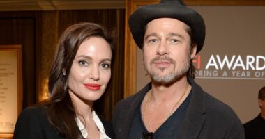 Brad Pitt and Angelina Jolie reach divorce settlement after bitter EIGHT-YEAR legal battle