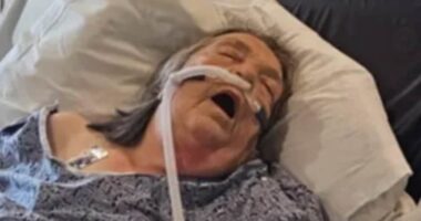 British grandmother stranded in Florida hospital after refusing to pay for travel insurance for dream trip to Disney