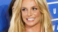 Britney Spears Celebrates Her 43rd Birthday As A Legally Single Woman