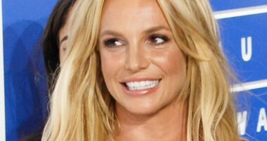 Britney Spears Celebrates Her 43rd Birthday As A Legally Single Woman