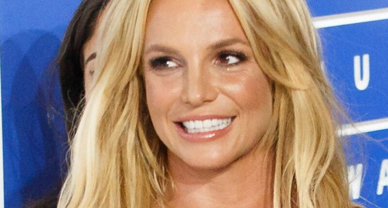 Britney Spears Celebrates Her 43rd Birthday As A Legally Single Woman