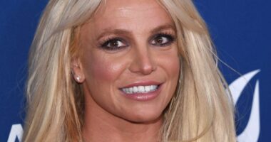 Britney Spears Reportedly Has ‘Different Projects’ In The Works But Is ‘Not Career-Focused’