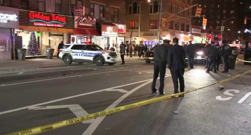 Bronx mass shooting: 6 shot at New York City convenience store on White Plains Road, including girl, woman used as shield