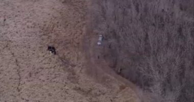 Burning body of missing man found near trail in Lincoln Marsh area near Union Avenue trailhead, Wheaton police say