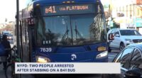 Bus driver stabs rider in head during dispute, both arrested