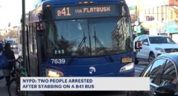 Bus driver stabs rider in head during dispute, both arrested