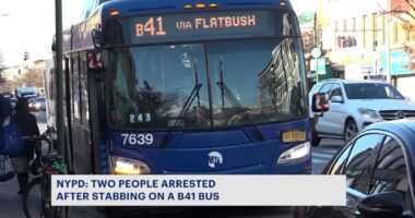 Bus driver stabs rider in head during dispute, both arrested